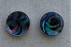 detail_2162_TR-SEA-PAUA-LG.jpg