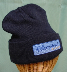 detail_3088_Hat_Disneyland_resort.jpg