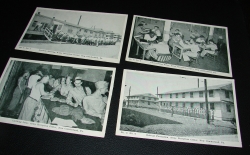 detail_3271_New_Cumberland_Post_Cards_1.jpg