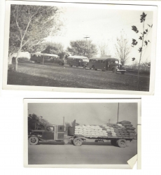detail_3764_early_trucks.jpg