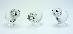 detail_3926_mini_chicks_1.jpg