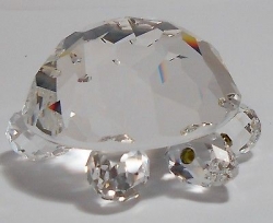 detail_3931_turtle_1.jpg