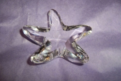 detail_3935_starfish_1.jpg