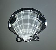 detail_3936_scallop_shell_1.jpg