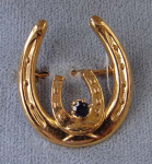 PIN