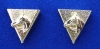 COLLAR TIPS