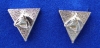 COLLAR TIPS