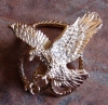 EAGLE Scarf Slide