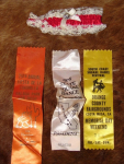 Square Dance Souvenirs