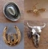 PINS