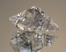 detail_3921_mini_conch_2.jpg
