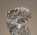 detail_3921_mini_conch_3.jpg