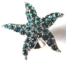 detail_3970_starfish_pin_2.jpg