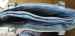detail_3171_Purse_Grey_Leather__inside.jpg