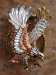 detail_2253_SH-4914-TRI.jpg