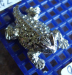 detail_2656_HT-Z23_Horned_Toad.jpg