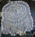 detail_3003_crochet_doiley_10_sized.jpg