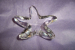 detail_3935_starfish_1.jpg