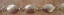 CONCHO BELT