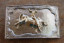  Belt Buckle